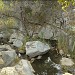 Bell Creek - upper natural section