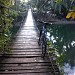 Suspension Bridge