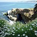 La Jolla Caves