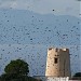 Torre delle Stelle