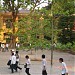 THPT Chương Mỹ B