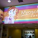 Myosotis Tween  na Natal city