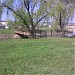Мост (ru) in Anenii Noi city
