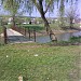 Мост (ru) in Anenii Noi city