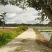 The Paddy field of Lambor Kanan, Talang, Teluk Bakong Hilir & Kg. Salak