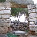 Megalithic wall and settlement nuragic of Palmavera