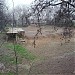 Бассейн в городе Сарыагаш