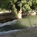 Быстроток в городе Бекабад