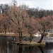 Лебяжий остров в городе Гатчина
