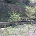 Canalizare nefinalizată (ro) в городе Кишинёв