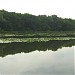 Bile Lake