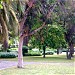 Jardim do Campo Grande na Lisboa city