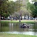 Jardim do Campo Grande na Lisboa city