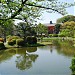 小石川植物園