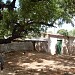 Reer Nuur Matoote in Mogadishu city