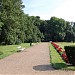 Rose garden in Budapest city