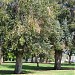 Shadow Ranch Park in Los Angeles, California city