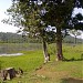 Chandubi Lake