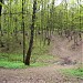 Безымянный овраг в городе Москва