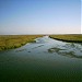 Karavasta Lagoon