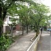 Green Street Promenade in Tokyo city