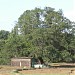 Pimpleshwar Hiwale Parab Wadi in Hiwale city