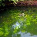 LAKE NO.1 NEAR PANDAV TEMPLE (en) in Hiwale city