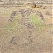 Carved pictures in stone (en) in Hiwale city
