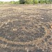 Carved pictures in stone (en) in Hiwale city
