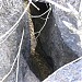 वाघाची डाळी..(हिवाळ्यातले समस्त वाघ हयसर वस्तिक असतत) (en) in Hiwale city