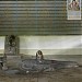 LINGESHWAR TEMPLE (en) in Hiwale city