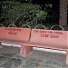 Shree Ganesh Yuvak Mandal-Stone Group in Anand city