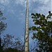 Fernsehumsetzer Hasenberg (de) in Stuttgart city