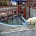 Снесённый вольер белых медведей в городе Екатеринбург