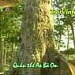Ao Bà Om trong Thành phố Trà Vinh - Tra Vinh City thành phố