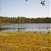 Lake Bol'shoe Medvezhye