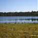 Lake Bol'shoe Medvezhye