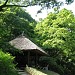 Meiji Jingu Gyoen Gardens  in Tokyo city