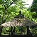 Meiji Jingu Gyoen Gardens  in Tokyo city