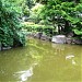 Japanese garden and lake in Tokyo city