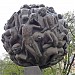 Памятник «Опалённый цветок» в городе Смоленск