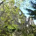 Les ruines du Château de Montbrun