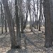 Парк в місті Шрамківка