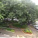 Praça Santa Helena na São Paulo city