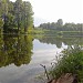 A pond at Chanovka river