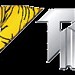 Tiger Profiles and Insulation LLC. (en) في ميدنة أبوظبي 