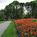 Hatanpään arboretum in Tampere city