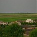 Гаражи в городе Единец