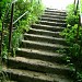 scara (ro) в городе Единец