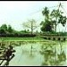 Tinh Tam lake in Hue city